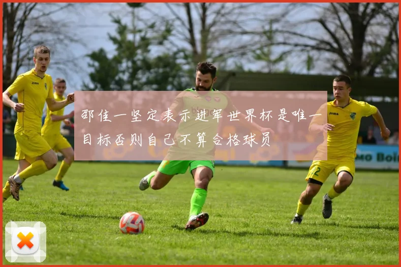 邵佳一坚定表示进军世界杯是唯一目标否则自己不算合格球员