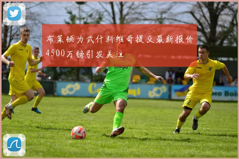 布莱顿为武什科维奇提交最新报价4500万镑引发关注